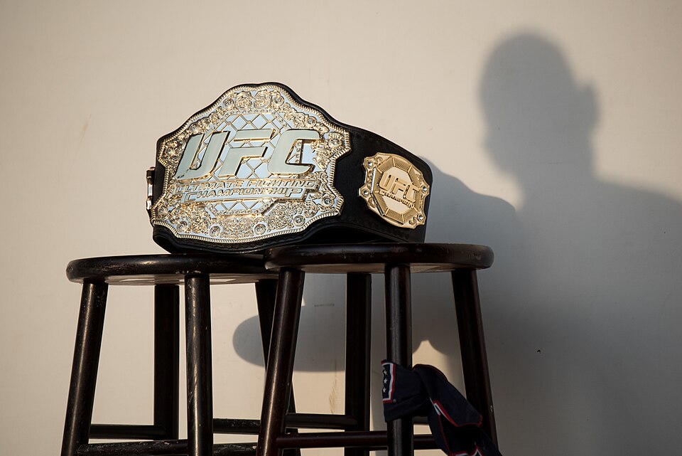 Финансовая эволюция Ислама Махачева в UFC