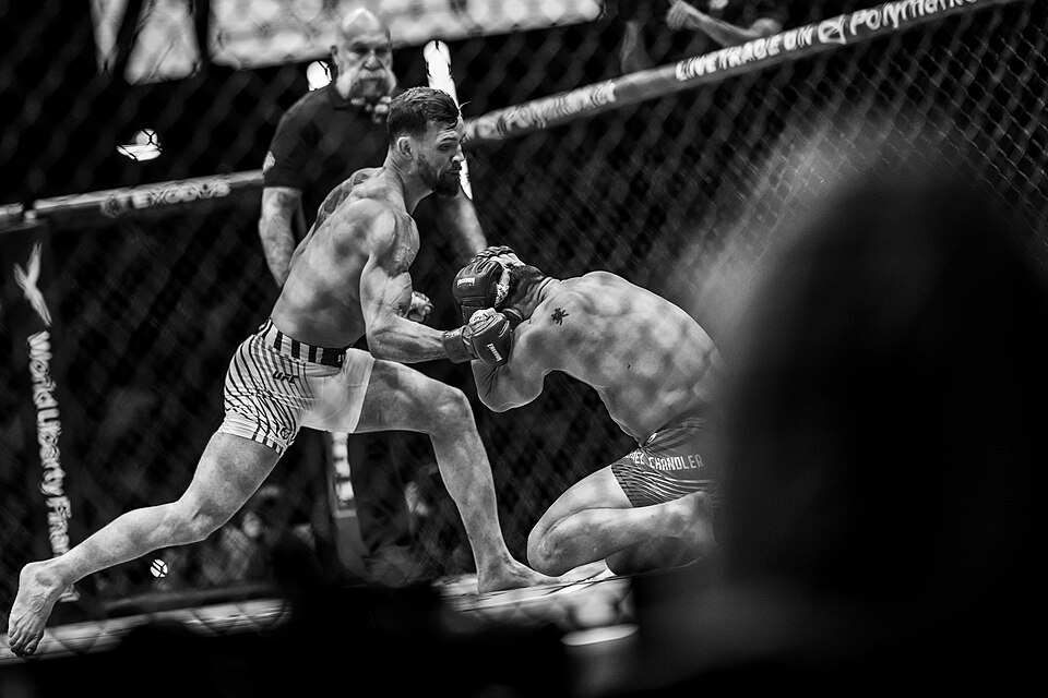 Царукян заработал не менее $450 тыс. за победу на UFC 331